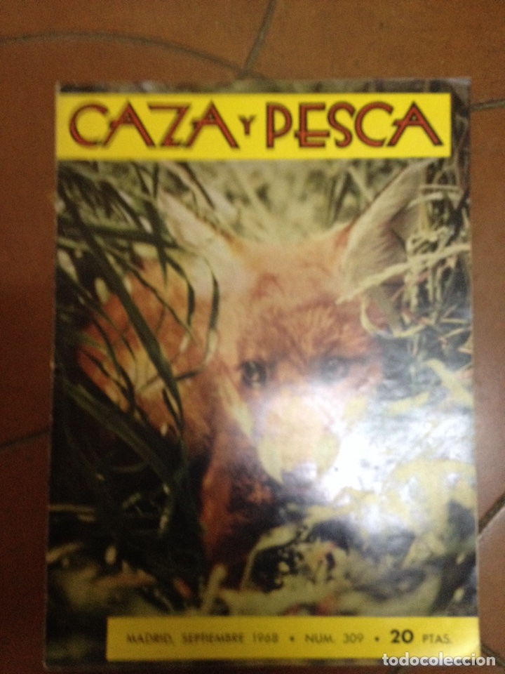 Collectionnisme sportif: Revista caza y pesca 1968 n 309