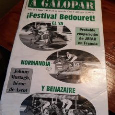 Coleccionismo deportivo: PROGRAMA CARRERAS DE CABALLOS .MIJAS , MALAGA REVISTA A GALOPAR N° 147 . JUNIO DE 2001 .. Lote 190521965