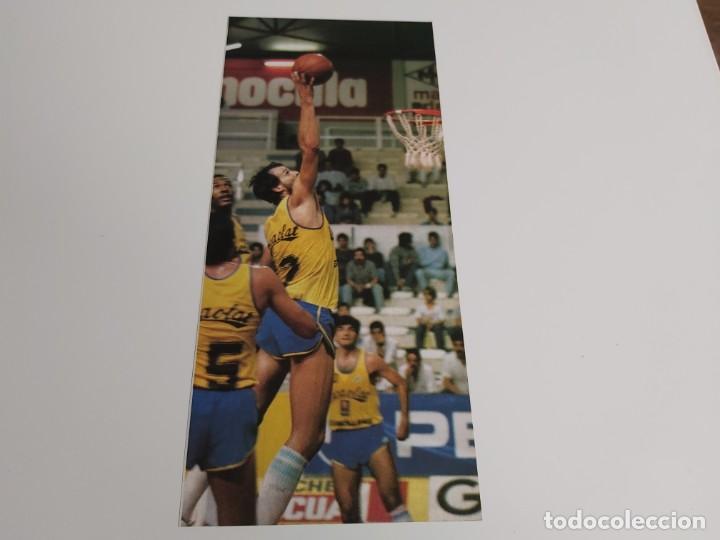 Collectionnisme sportif: RECORTE BALONCESTO WHITE PERTENECIENTE AL PARTIDO CACAOLAT-CAI ZARAGOZA 1986