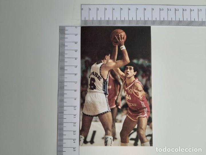 Coleccionismo deportivo: RECORTE BALONCESTO PEPE ARCEGA Y ROSA  PERTENECIENTE AL PARTIDO CAJA DE RONDA-CAI ZARAGOZA 1987