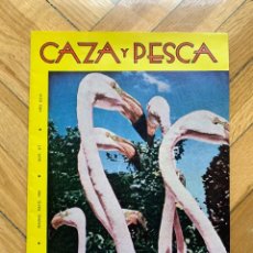 Coleccionismo deportivo: CAZA Y PESCA Nº 317. Lote 255967980