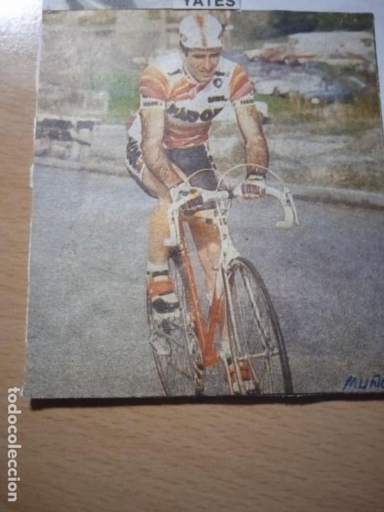 Coleccionismo deportivo: Foto recortada de diario deportivo de Pedro Mu&ntilde;oz (Fagor).Espa&ntilde;a. Ciclismo
