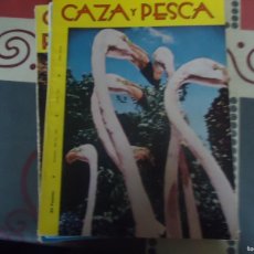 Coleccionismo deportivo: CAZA Y PESCA Nº 317. Lote 380655014