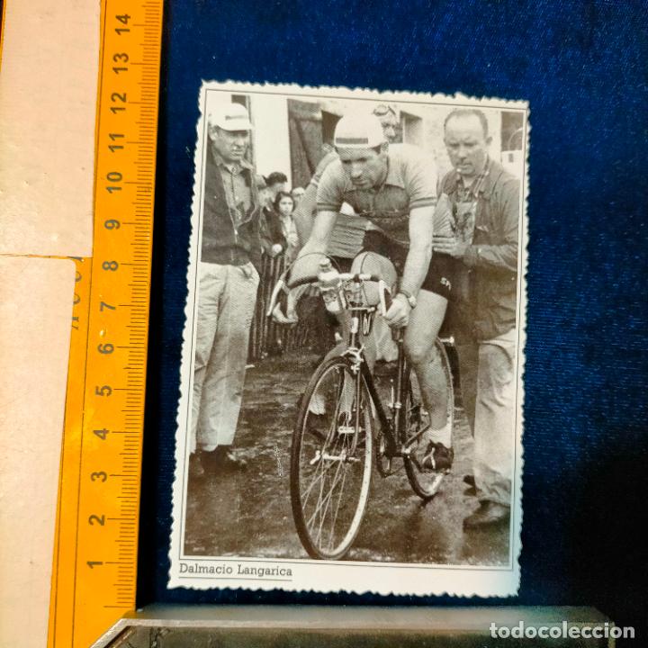 Coleccionismo deportivo: RECORTE TAMA&Ntilde;O MEDIA POSTAL CICLISMO CICLISTAS FAMOSOS : DALMACIO LANGARICA