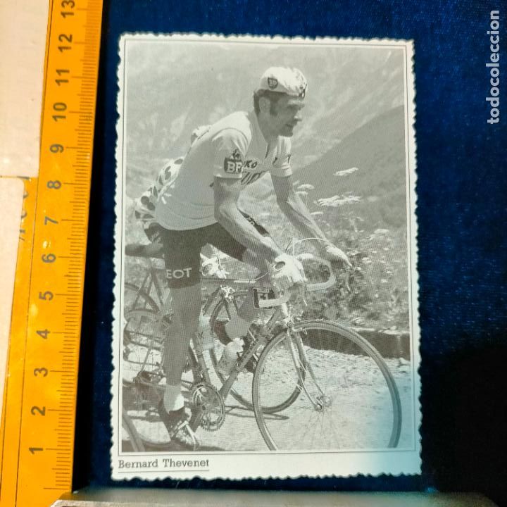 Coleccionismo deportivo: RECORTE TAMA&Ntilde;O MEDIA POSTAL CICLISMO CICLISTAS FAMOSOS : BERNARD THEVENET