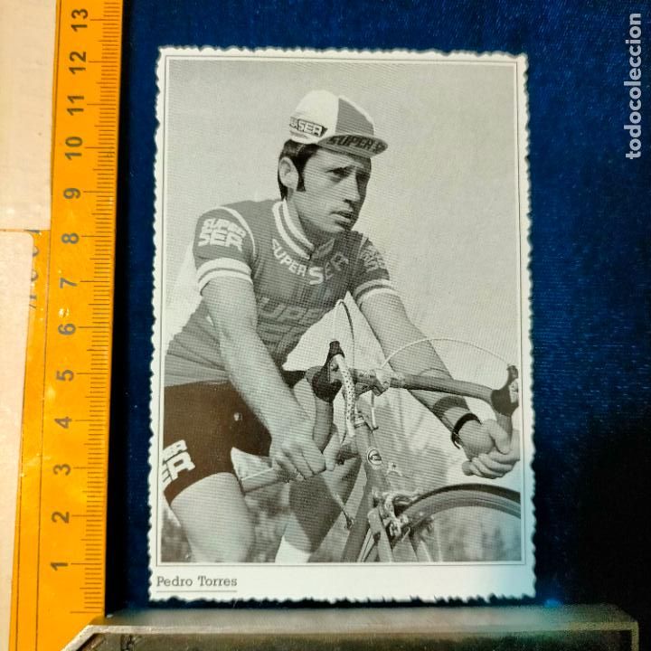 Coleccionismo deportivo: RECORTE TAMA&Ntilde;O MEDIA POSTAL CICLISMO CICLISTAS FAMOSOS : PEDRO TORRES EQUIPO SUPER SER