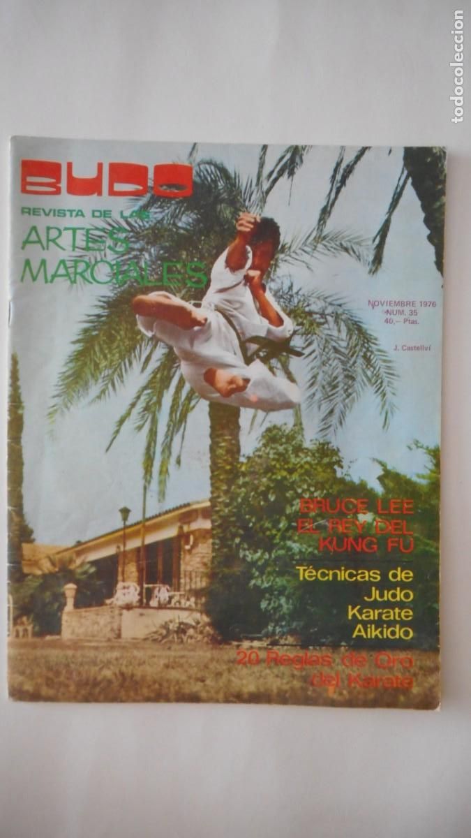 Coleccionismo deportivo: BUDO N&ordm; 35 . NOVIEMBRE 1976 / C-21