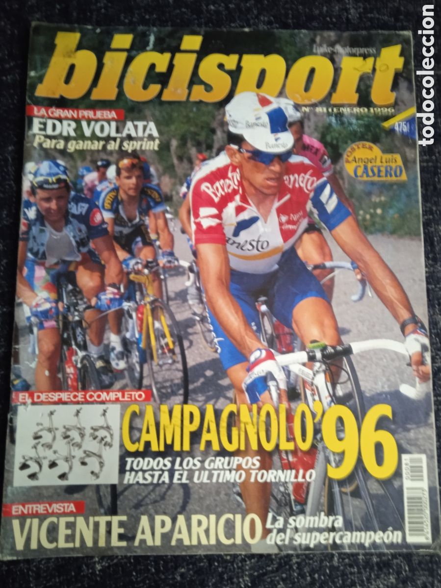 Coleccionismo deportivo: BICISPORT, N&ordm; 81 Enero 1996 - CICLISMO - BICICLETA