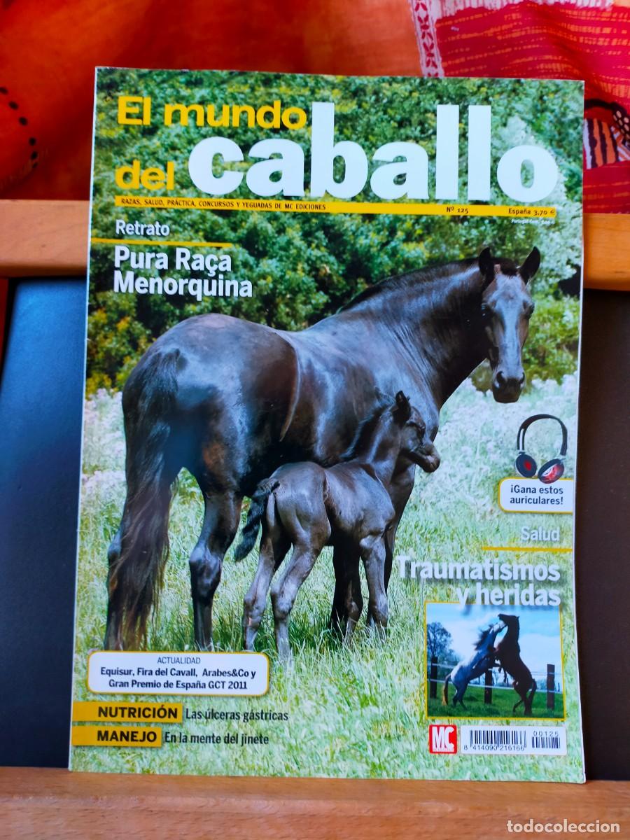 Collectionnisme sportif: EL MUNDO DEL CABALLO. RAZAS, SALUD, PR&Aacute;CTICA, CONCURSOS Y YEGUADAS DE MC EDICIONES. N&ordm; 123. 2001