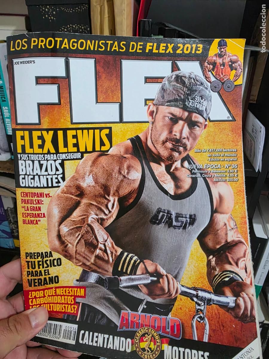 Coleccionismo deportivo: Revista FLEX N⁰ 36 nueva epoca flex lewis centopani pakulski fisico culturismo culturista nutricion