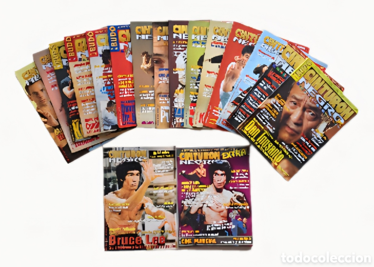 Coleccionismo deportivo: Lote de 17 revistas CINTURON NEGRO (incluye extra N&deg; 19 con 34 p&aacute;ginas de Bruce Lee)