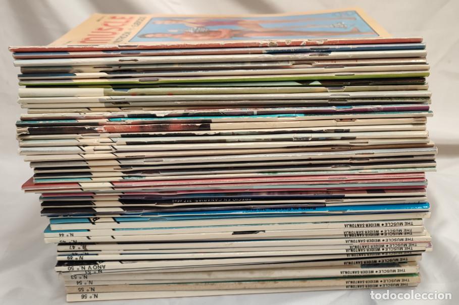 Coleccionismo deportivo: LOTE DE 45 REVISTAS DE CULTURISMO THE MUSCLE 1983 84, ALASKA, ANA TORROJA, AMPARO LARRA&Ntilde;AGA, ARNOLD