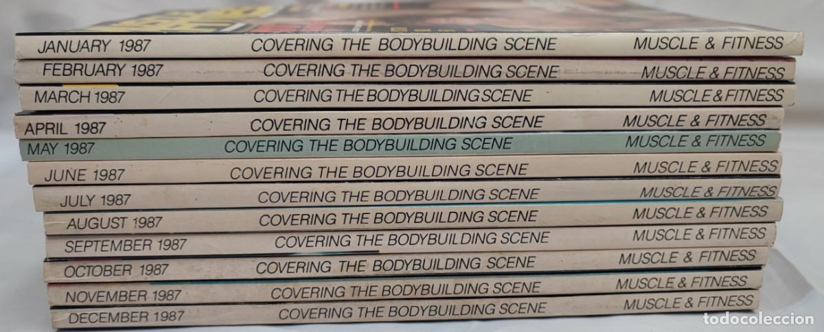Collezionismo sportivo: 12 REVISTAS DE CULTURISMO MUSCLE & FITNESS, A&Ntilde;O 1987 COMPLETO, ARNOLD SCHWARZENEGGER, DOLP LUNDGREN,