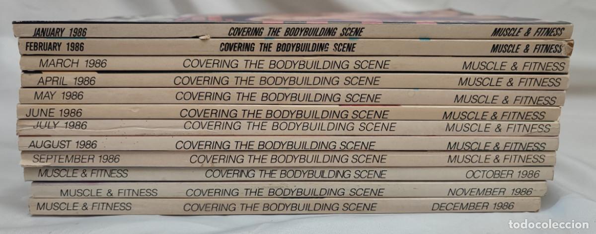 Collezionismo sportivo: 12 REVISTAS DE CULTURISMO MUSCLE & FITNESS, A&Ntilde;O 1986 COMPLETO, CHUCK NORRIS, DOLP LUNDGREN, ETC.,