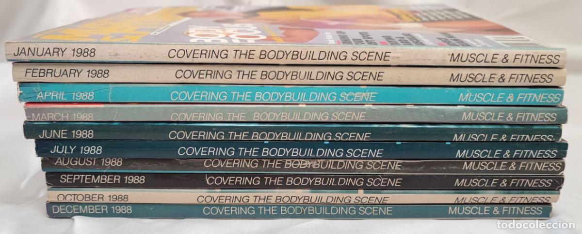 Coleccionismo deportivo: 10 REVISTAS DE CULTURISMO MUSCLE & FITNESS, A&Ntilde;O 1988, CLINT EASTWOOD, HULK, ARNOLD SCHWARZENEGGER