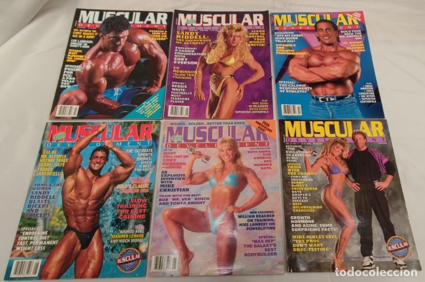Sports collectibles: 6 MAGAZINES MUSCULAR 1990, REVISTAS DE CULTURISMO, CHUCK NORRIS, CORY EVERSON, ETC.