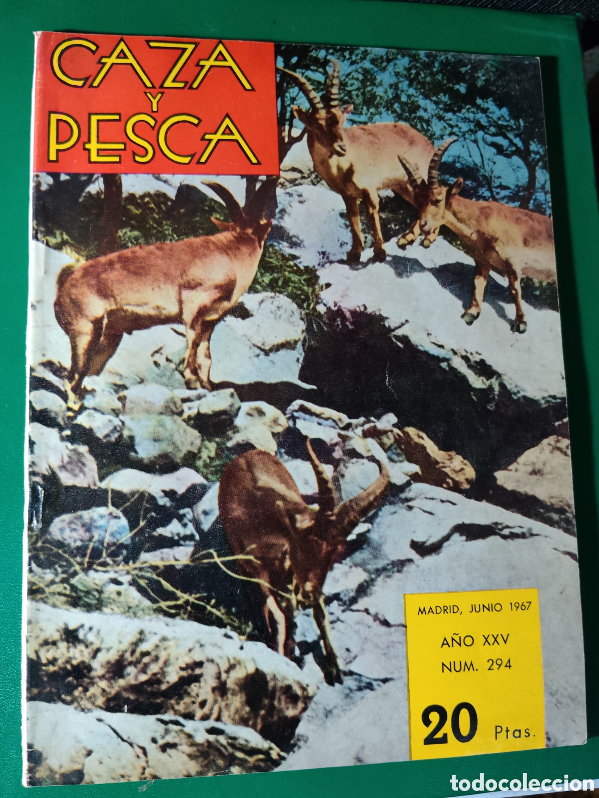 Coleccionismo deportivo: Revista caza y pesca n&deg;294 junio 1967