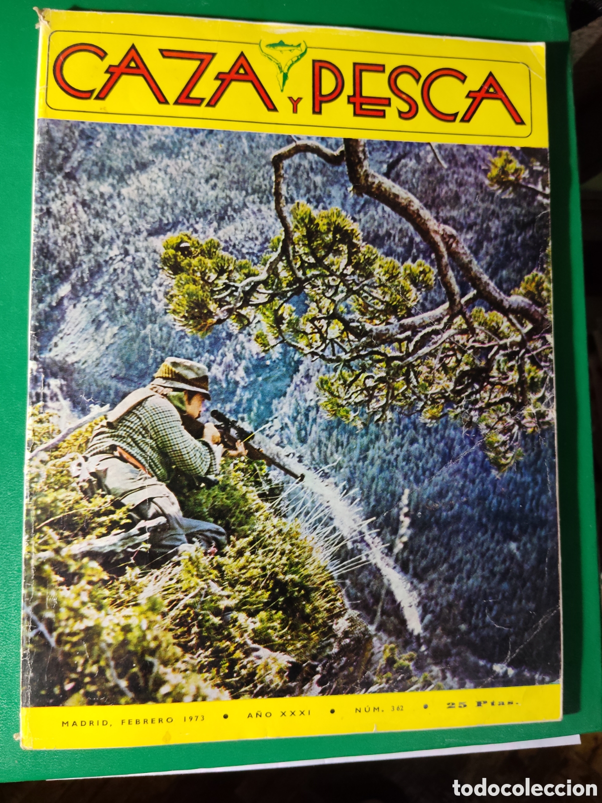 Coleccionismo deportivo: Revista caza y pesca n&deg; 362 junio 1973