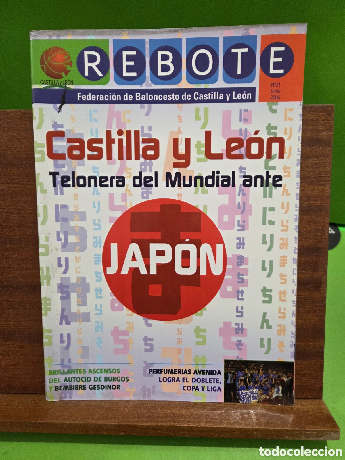 Coleccionismo deportivo: REVISTA DE BALONCESTO...&rdquo;&rdquo;REBOTE&rdquo;&rdquo;...JUNTA DE CASTILLA Y LEON...N&deg;21..JUNIO DE 2006..