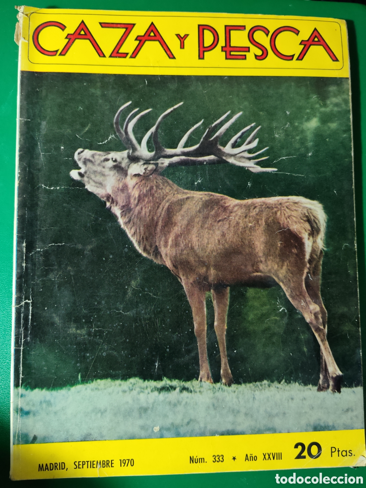 Coleccionismo deportivo: Revista caza y pesca septiembre de 1970 n&deg;333