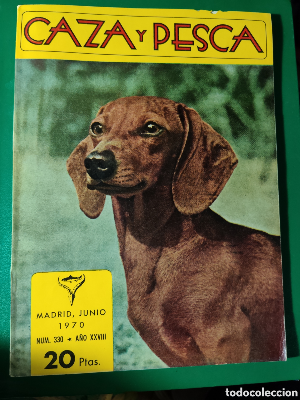 Coleccionismo deportivo: Revista caza y pesca junio de 1970 n&deg;330
