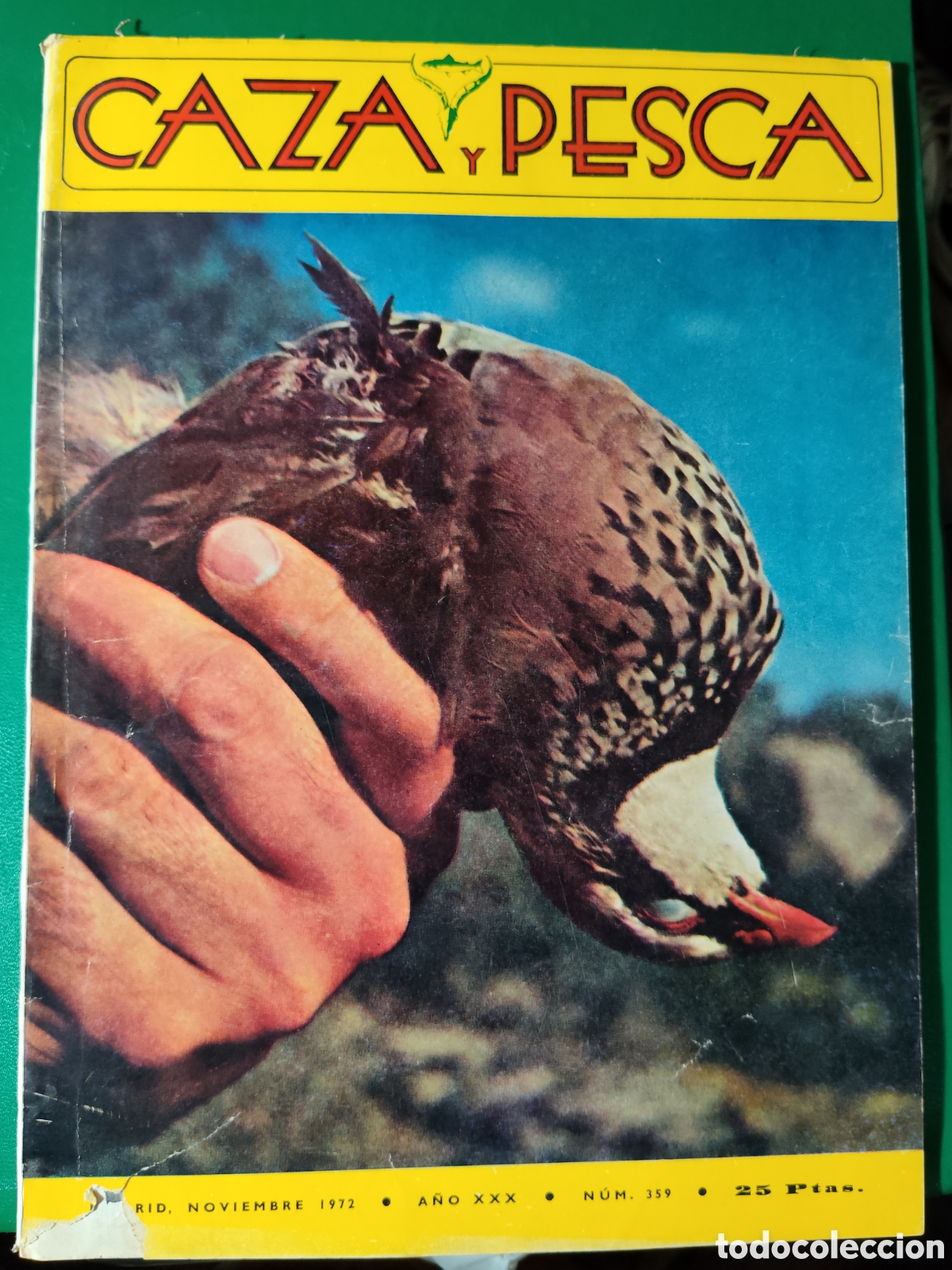 Coleccionismo deportivo: Revista caza y pesca noviembre de 1972 n&deg;359