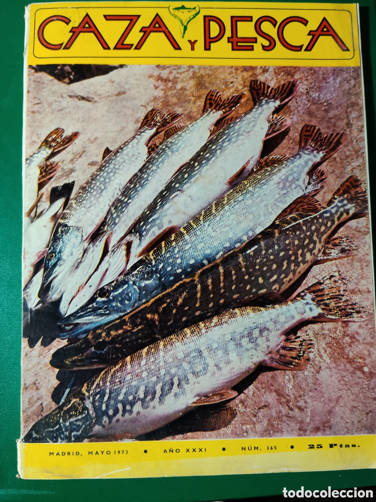 Coleccionismo deportivo: Revista caza y pesca mayo de 1973 n&deg;365