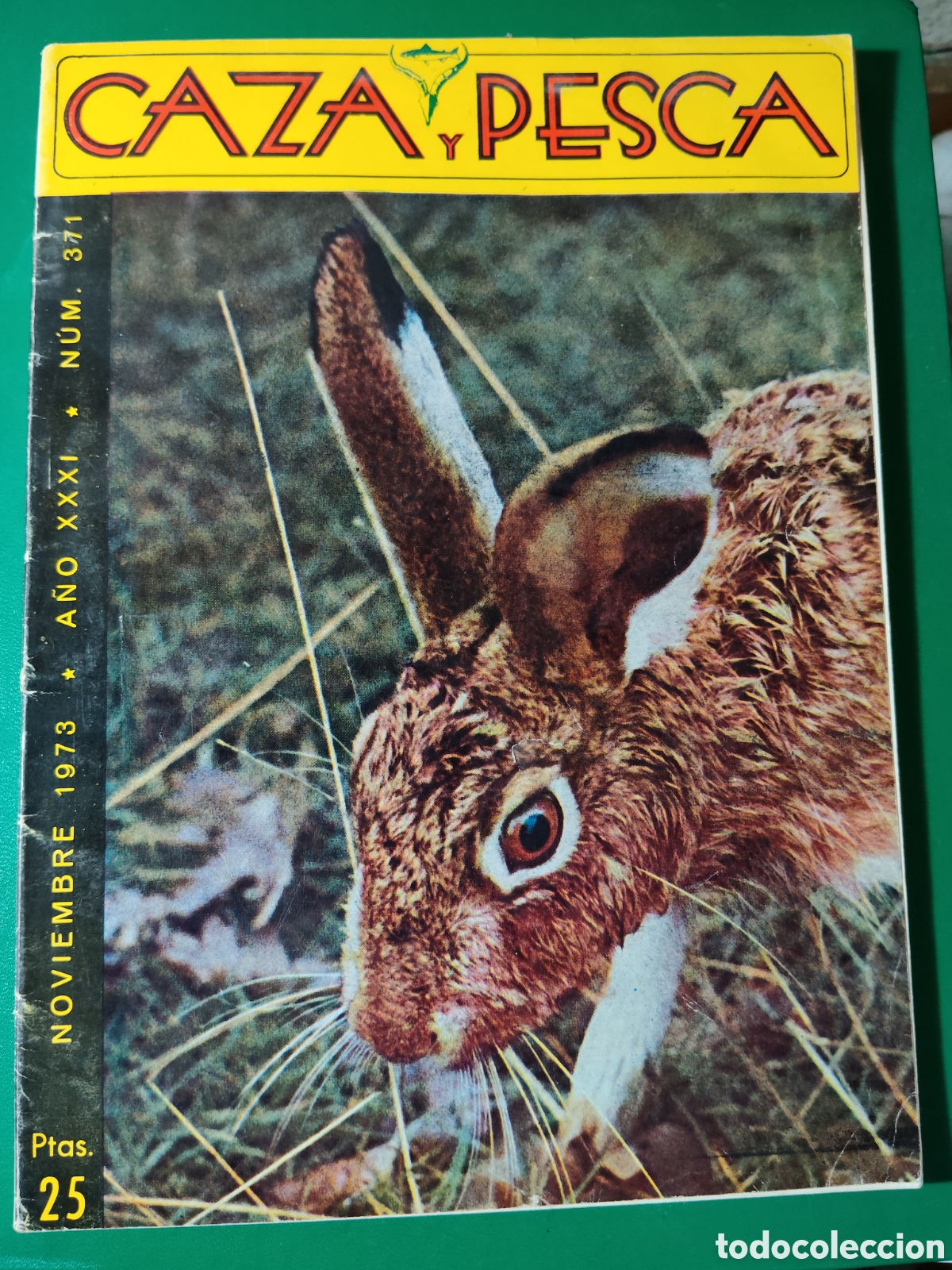 Sammelleidenschaft Sport: Revista caza y pesca noviembre de 1973 n&deg;371