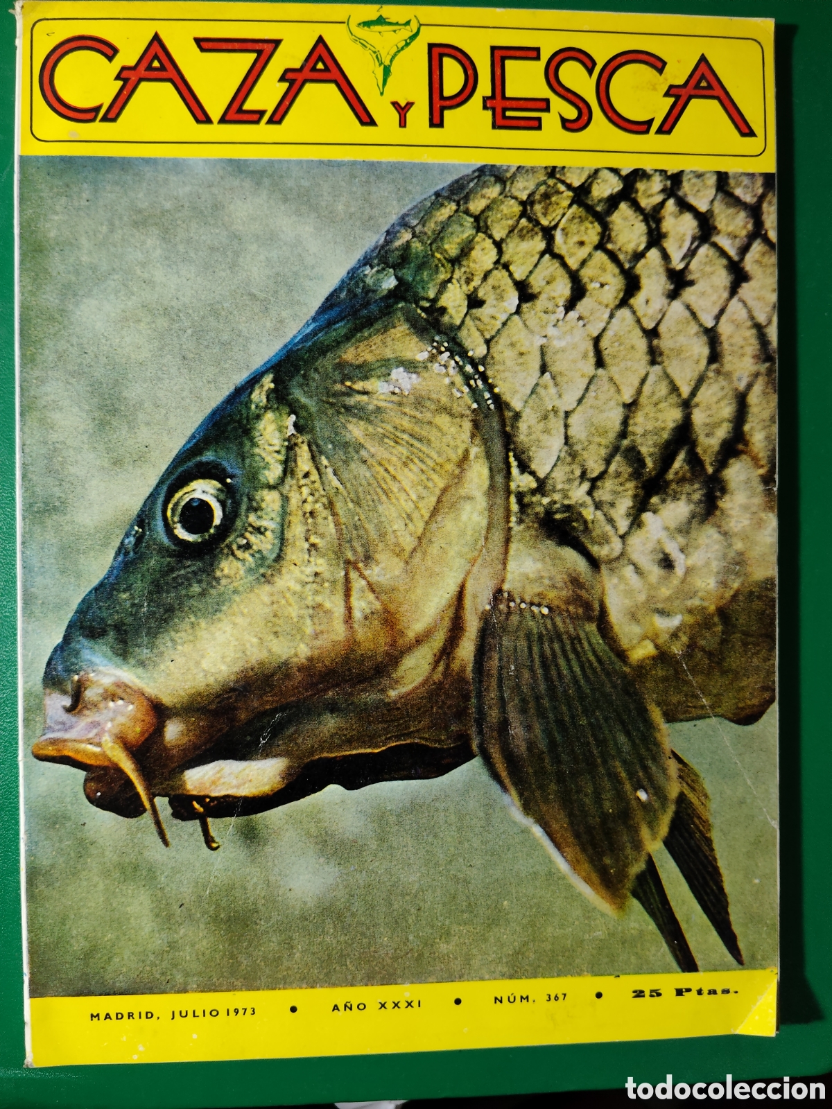 Coleccionismo deportivo: Revista caza y pesca julio de 1973 n&deg;367