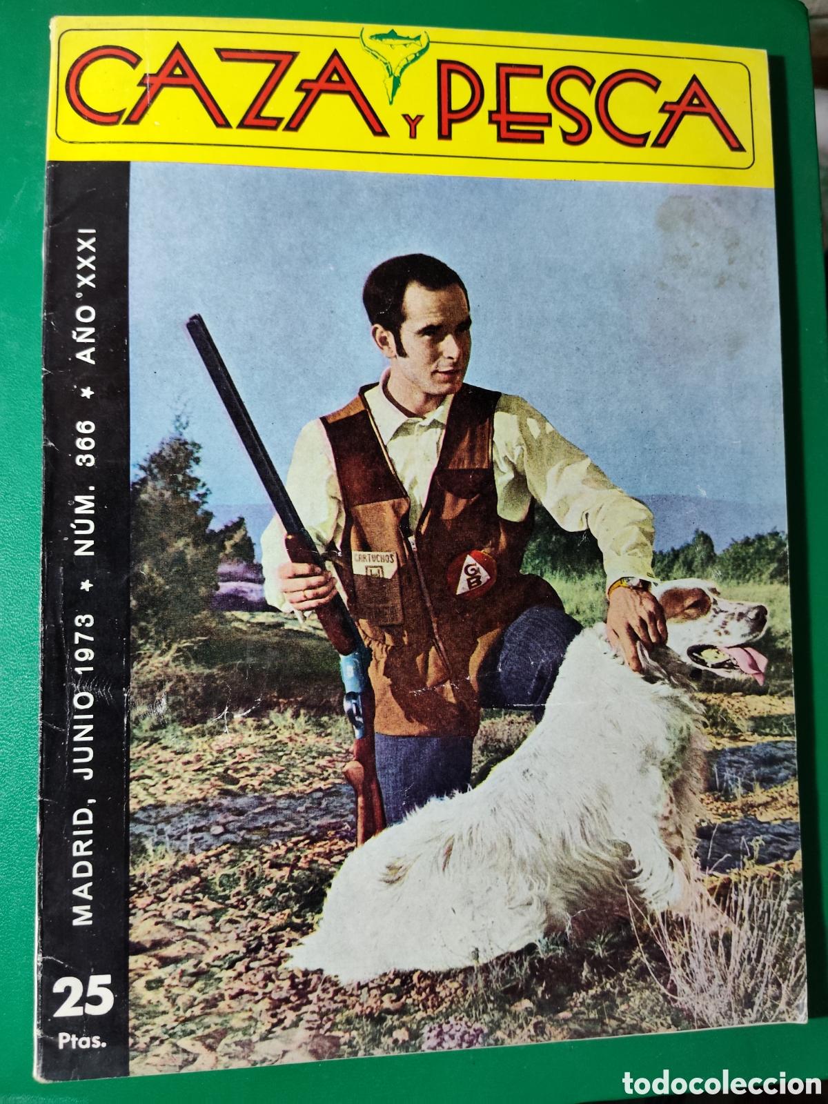 Coleccionismo deportivo: Revista caza y pesca junio de 1973 n&deg;366