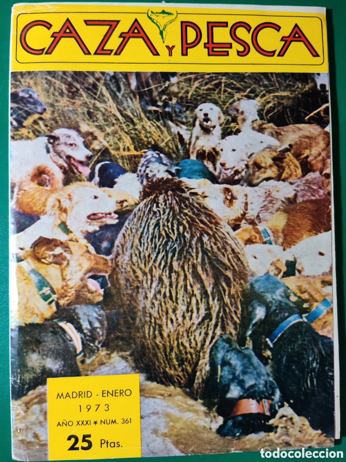 Coleccionismo deportivo: Revista caza y pesca enero de 1973 n&deg;361