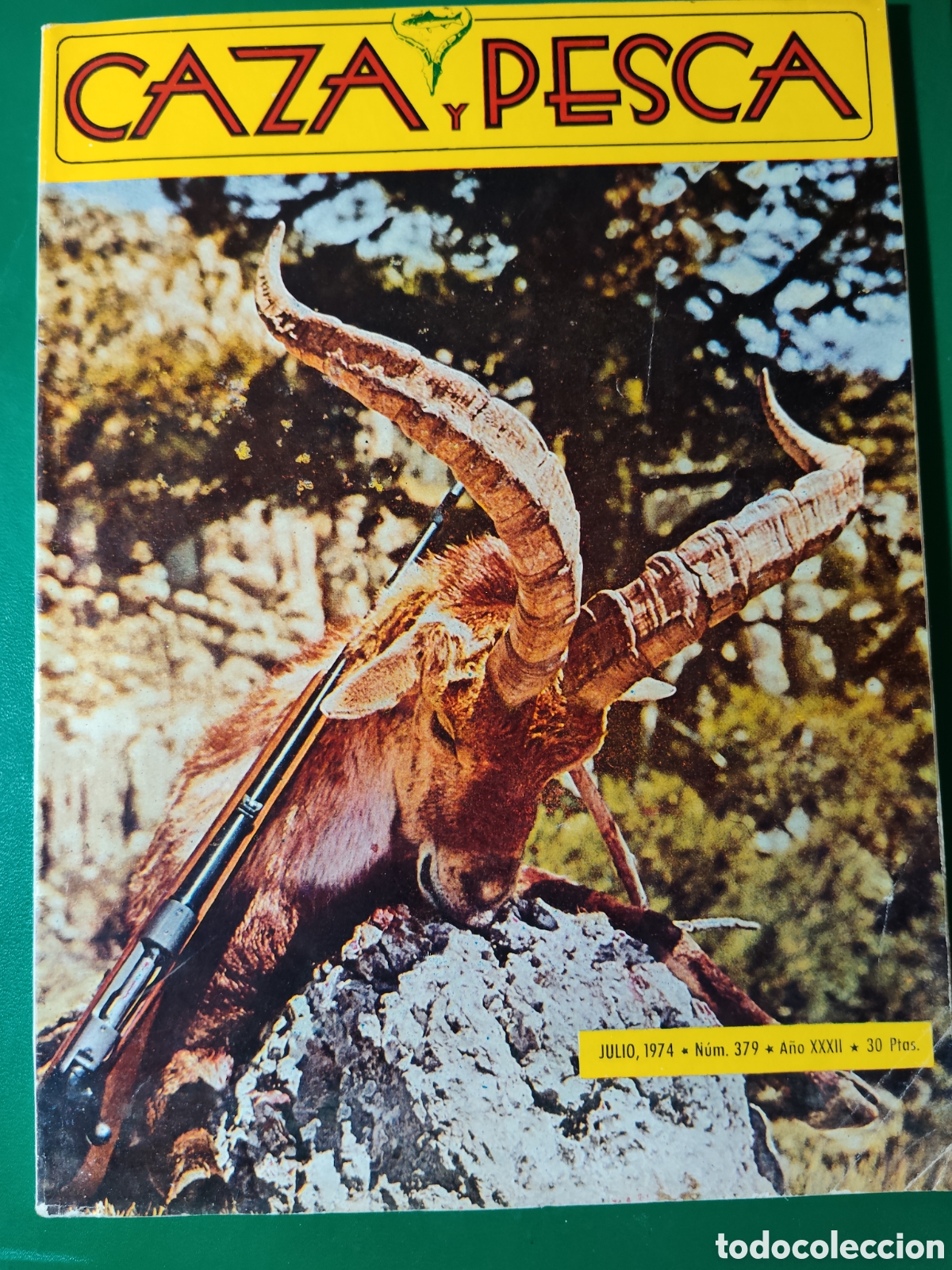 Coleccionismo deportivo: Revista caza y pesca julio de 1974 n&deg;379