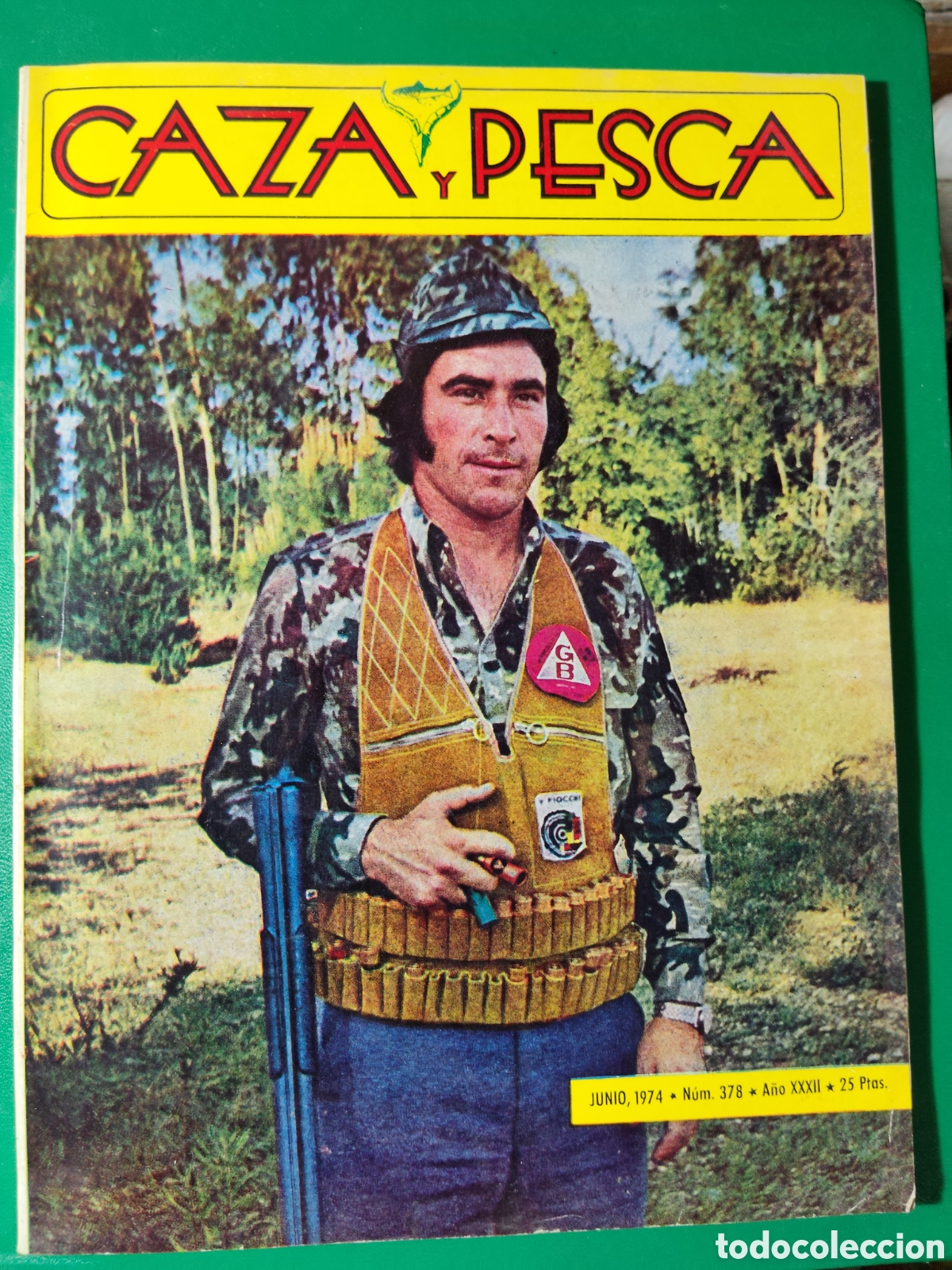 Coleccionismo deportivo: Revista caza y pesca junio de 1974 n&deg;378