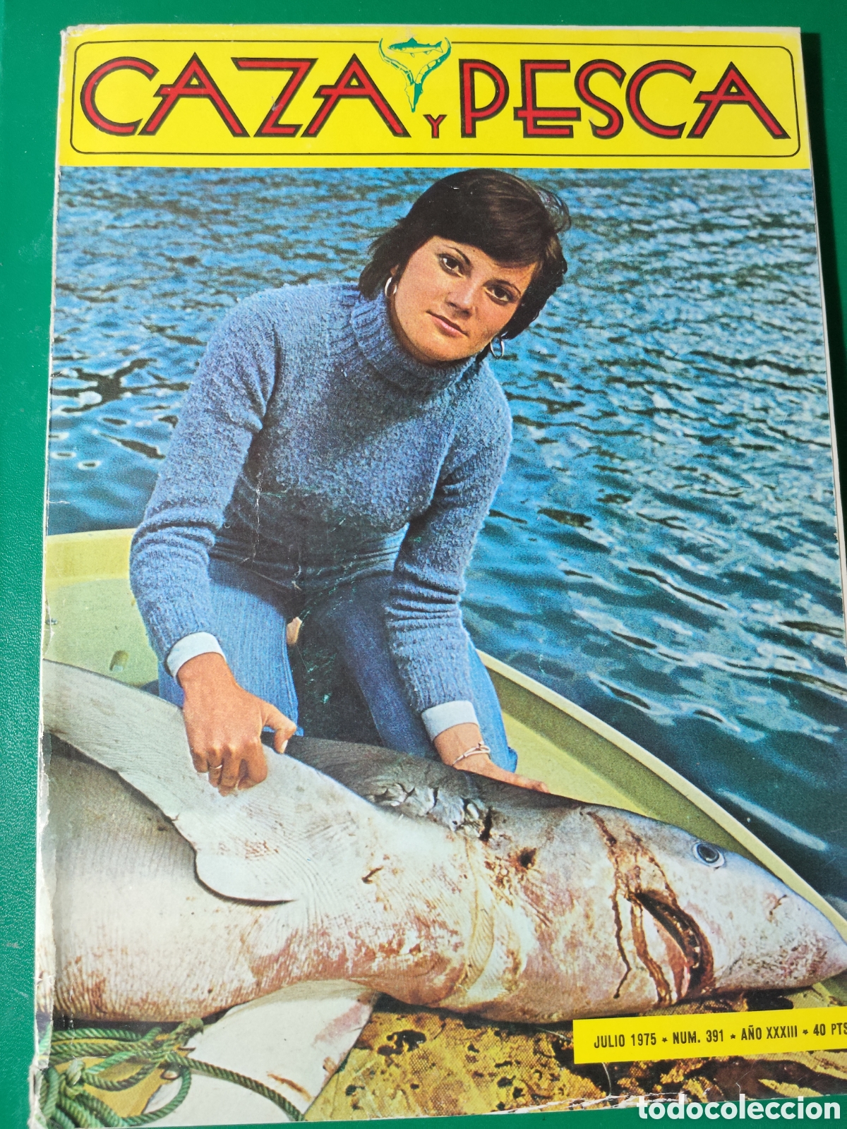 Coleccionismo deportivo: Revista caza y pesca julio de 1975 n&deg;391