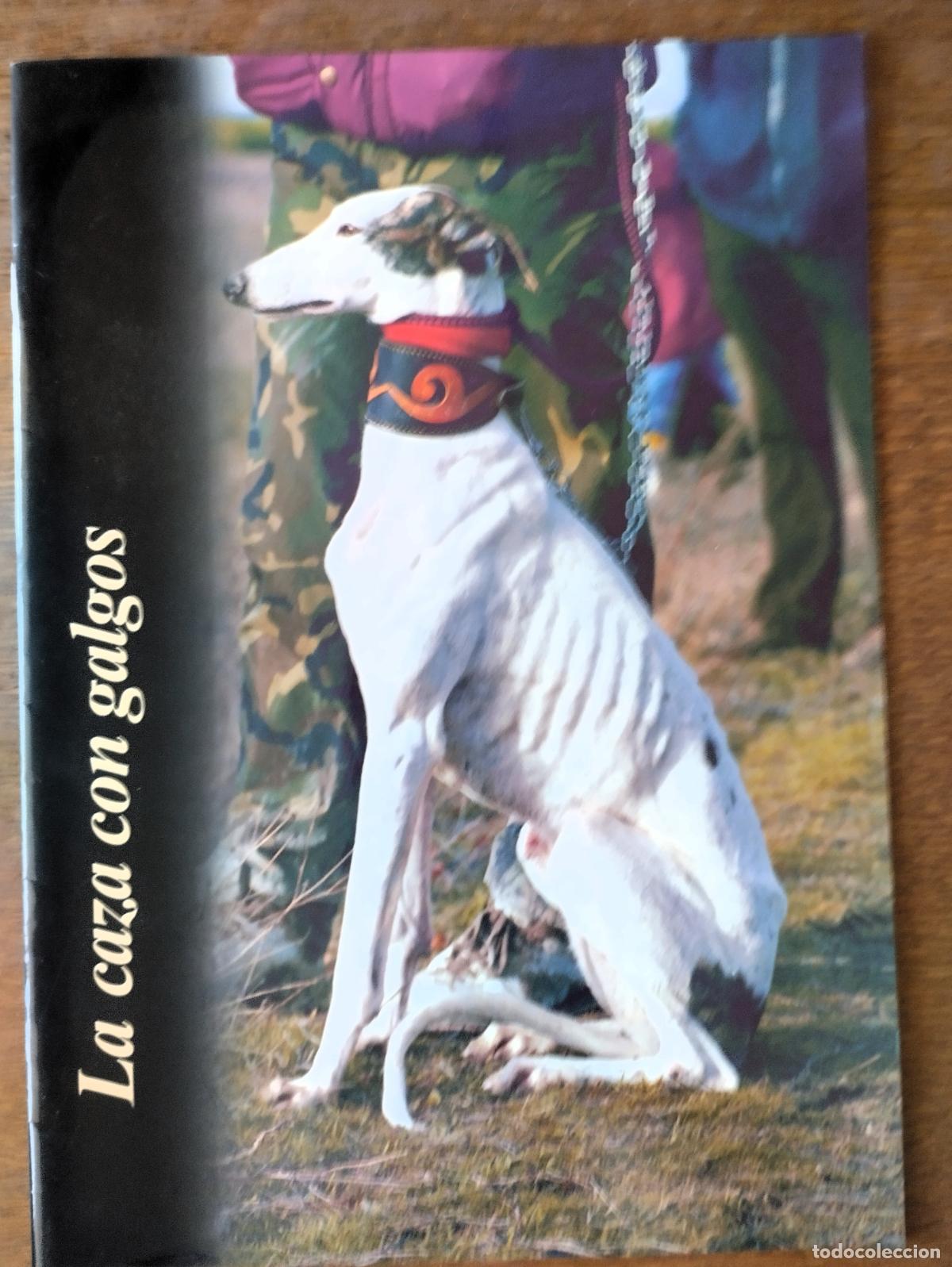 Coleccionismo deportivo: La caza con galgos, Salamanca s.f. Pe&ntilde;aranda de Bracamonte