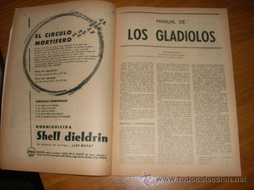 Coches: REVISTA CHARLA RURAL (MANUAL COMPLETO SOBRE GLADIOLOS) Nº 226 - 1958 - Argentina - RARO EJEMPLAR!! - Foto 2 - 26469806