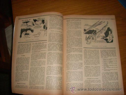 Coches: REVISTA CHARLA RURAL (MANUAL COMPLETO SOBRE GLADIOLOS) Nº 226 - 1958 - Argentina - RARO EJEMPLAR!! - Foto 3 - 26469806