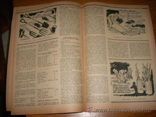 Coches: REVISTA CHARLA RURAL (MANUAL COMPLETO SOBRE GLADIOLOS) Nº 226 - 1958 - Argentina - RARO EJEMPLAR!! - Foto 5 - 26469806