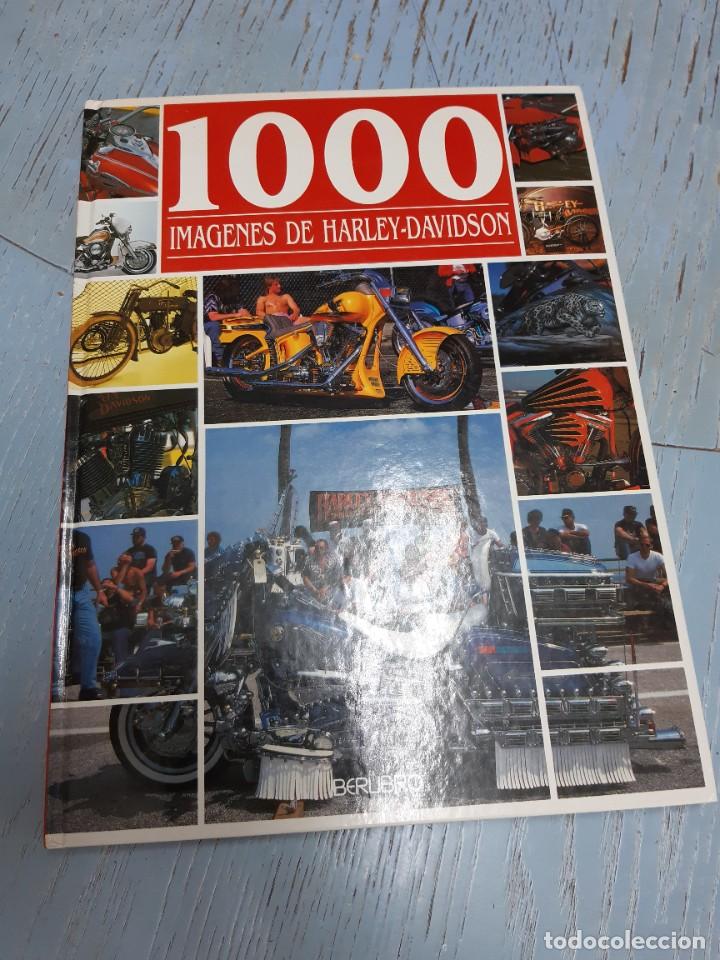 Coches y Motocicletas: harley davidson