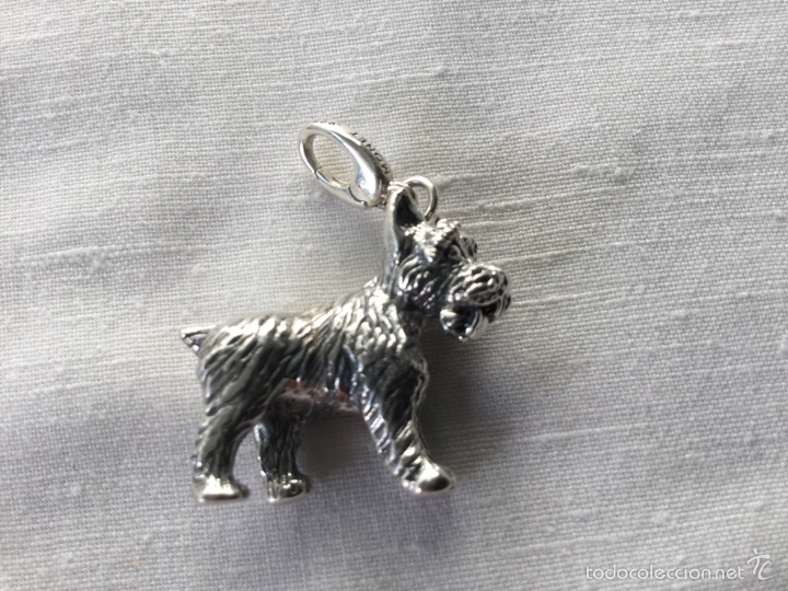 Segunda mano: Perrito foxterrier en plata de ley 925 - Foto 1