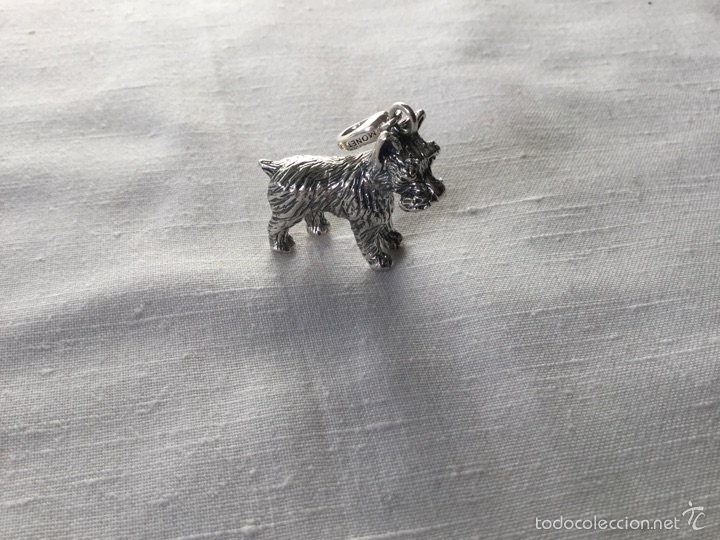 Segunda mano: Perrito foxterrier en plata de ley 925 - Foto 2