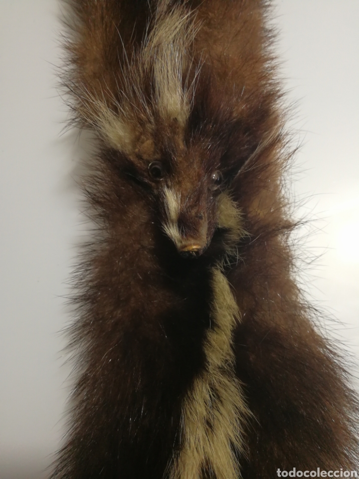 Segunda mano: ESTOLA CUELLO BUFANDA PIEL - Foto 1