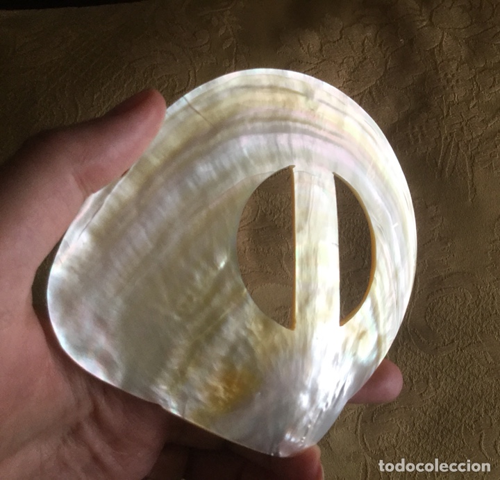 Segunda mano: HEBILLA XXL DE N&Aacute;CAR - Foto 1