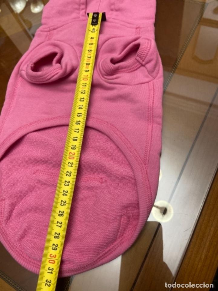 Segunda mano: Sudadera benetton para perro - Foto 3