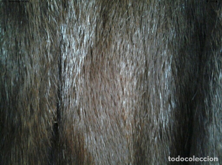 Segunda mano: CHAQUET&Oacute;N PIEL de NUTRIA - Foto 4