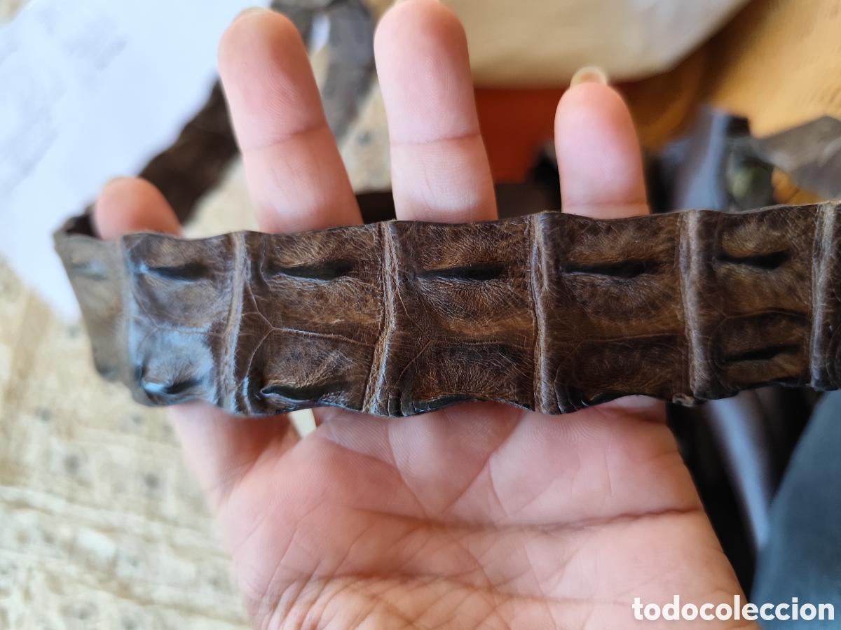 Segunda mano: Bolso Zeus piel y cocodrilo - Foto 9