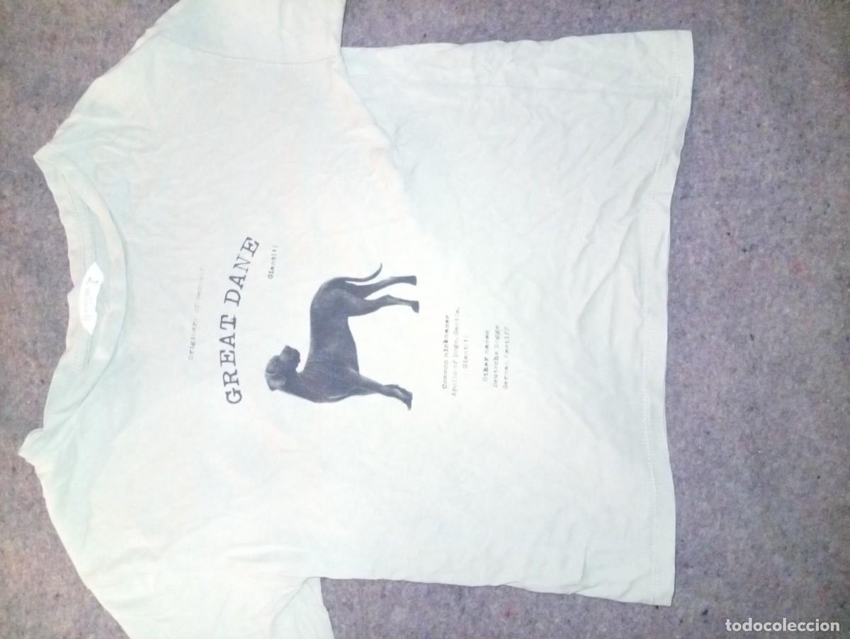 Segunda mano: Camisa manga corta ni&ntilde;o - Foto 2