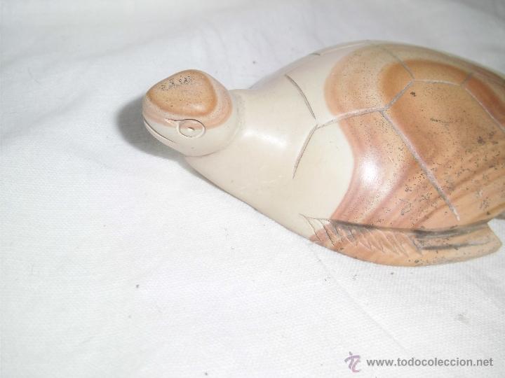 Segunda mano: TORTUGA - Foto 2