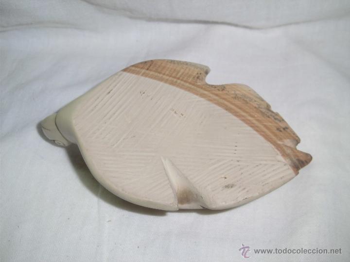 Segunda mano: TORTUGA - Foto 4