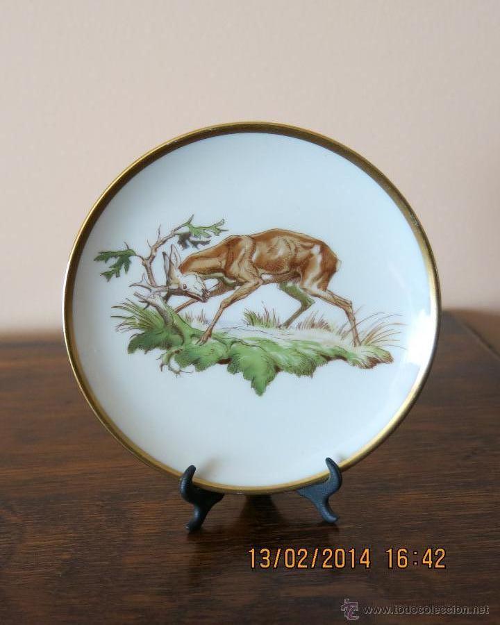 Segunda mano: PLATO DE PORCELANA ALEMANA - Foto 1